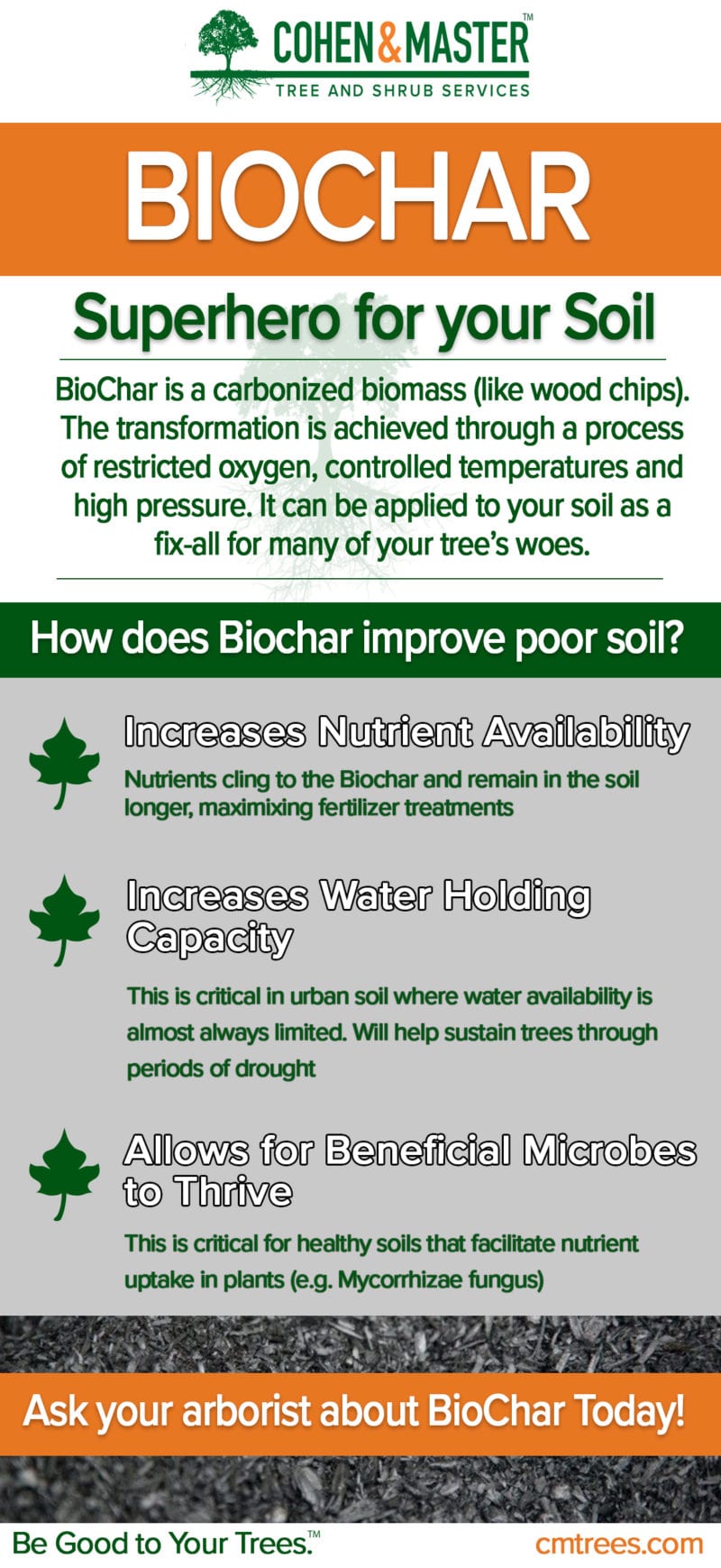 BioChar - Cohen & Master Trees